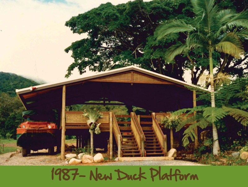 1980s army duck platform rainforestation