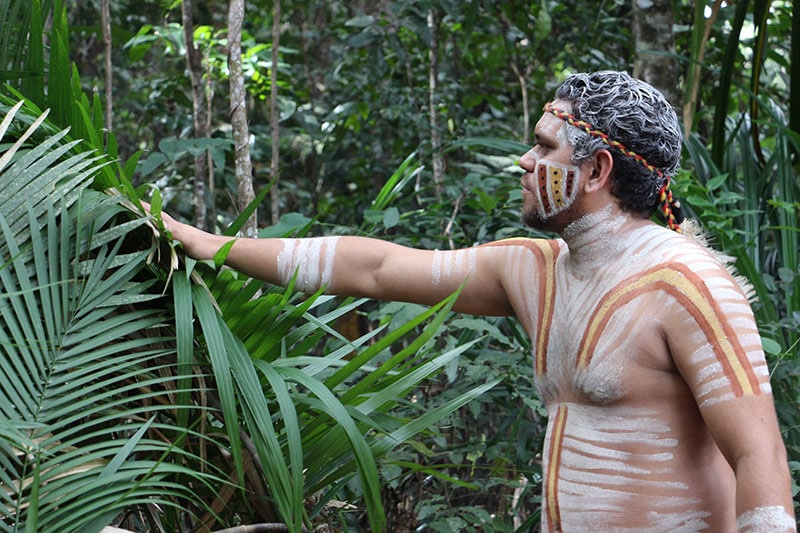 Pamagirri Rainforest Walkabout Indigenous Hut
