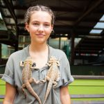 Volunteer With Lizards Rainforestation Nature Park