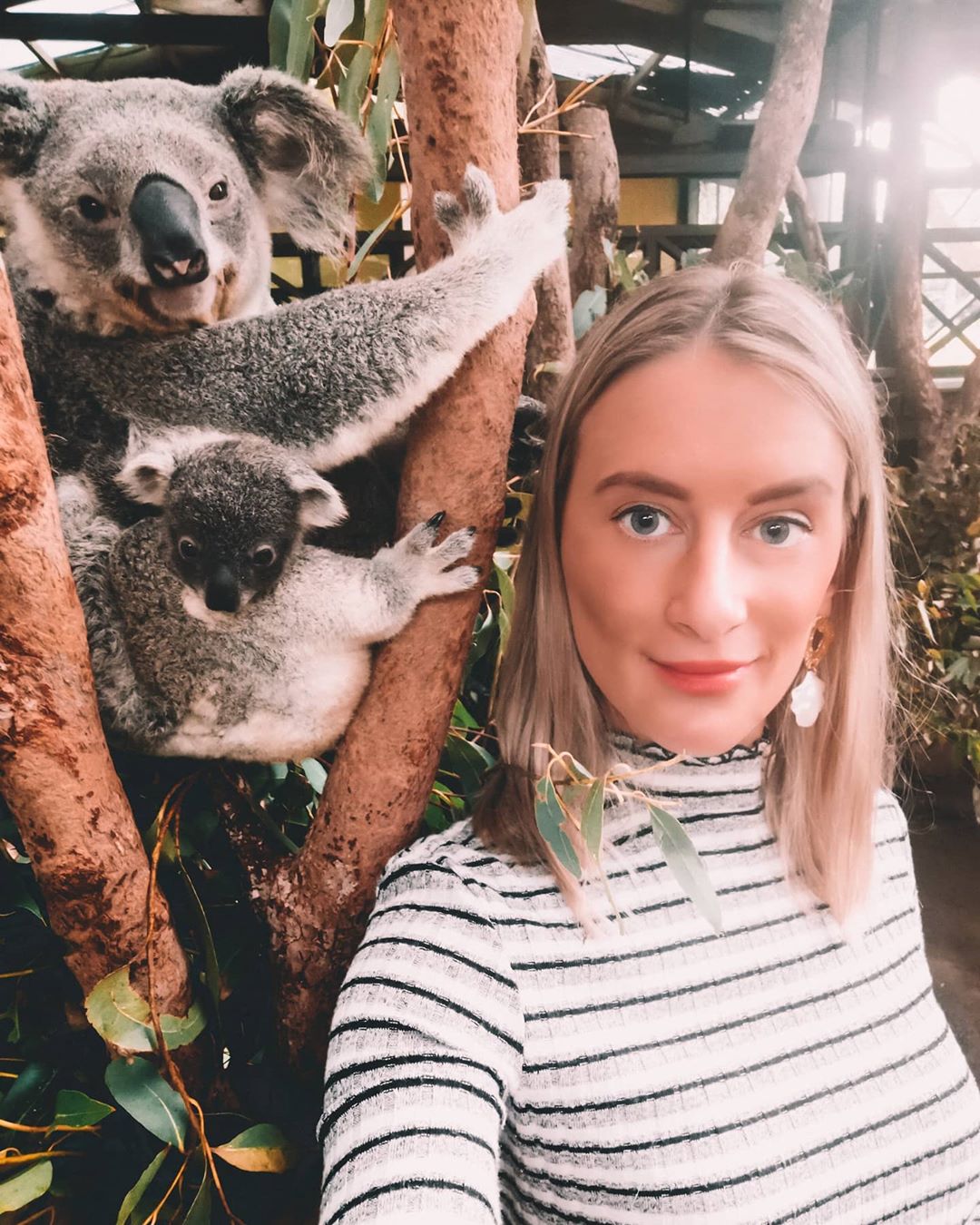 cairns koala experience baby koala selfie rainforestation